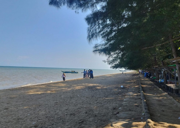 Enam Anak Tersengat Ubur-Ubur di Pantai PPU, Dua Dilarikan ke Rumah Sakit