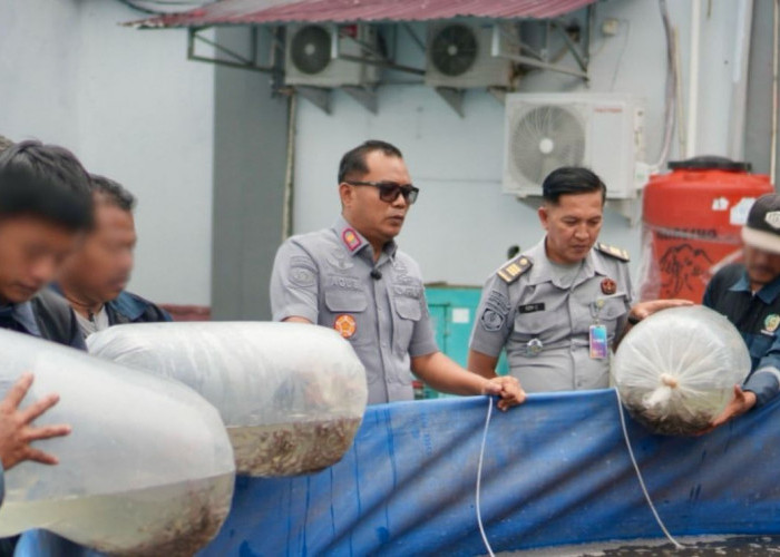 Warga Binaan Rutan Balikpapan Tebar Ribuan Benih Ikan Lele