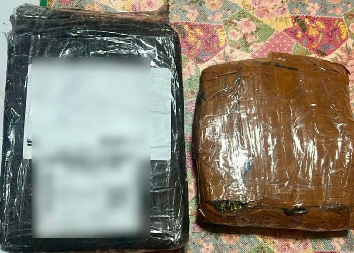 Pria di Balikpapan Diciduk, Polisi Temukan Ganja 1 Kilogram Siap Edar