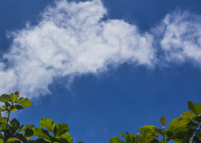 Ramalan Cuaca Kaltim dan IKN, 21 April 2026, Cek di Sini!