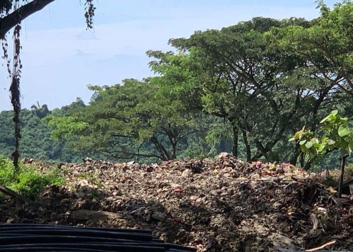 TPA Bukit Pinang Ditutup Permanen, Pemkot Samarinda Fokus Pemulihan Ekosistem