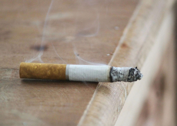 882 Konten Media Sosial Berbau Promosi Produk Rokok Dilaporkan Sepanjang 2026