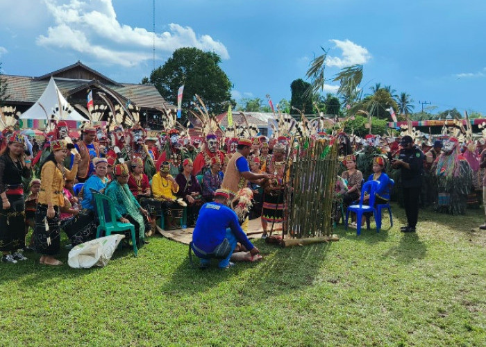 Festival Lomplai Wehea 2026 Dibuka, Pemkab Kutim Bidik 12 Ribu Pengunjung Tahun Ini