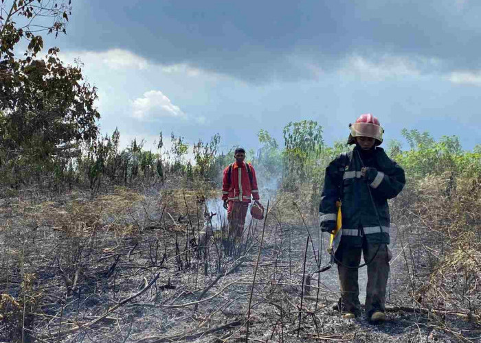 Terjadi Karhutla di Muara Badak, Penyebab Belum Diketahui