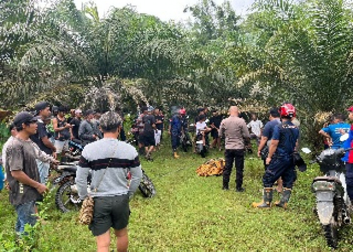 Diduga Terseret Arus saat Hujan Deras, Warga Kuaro Ditemukan Tak Bernyawa di Pinggir Sungai 