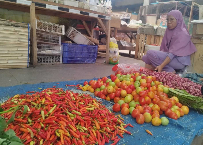 Amankan Stok Pangan dan Tekan Inflasi, Pemkab PPU Perluas Jaringan Kerja Sama Antardaerah