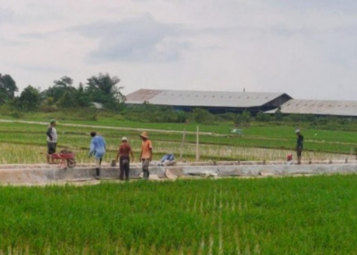 Bappeda Kukar Gandeng UGM, Kolaborasi Riset Pertanian Terintegrasi Berbasis Kawasan