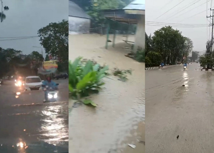 Breaking News! Kota Samarinda Terendam Banjir, Waspada saat Melintasi Titik-titik Ini!