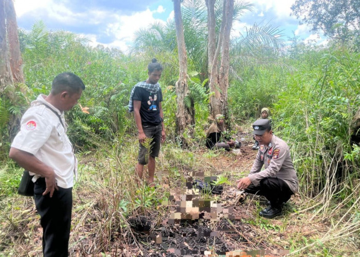 Penemuan Kerangka Manusia di Hutan Paser, Diduga Wanita yang Dilaporkan Hilang