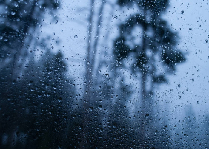 Ramalan Cuaca Kaltim dan IKN, 26 Agustus 2025, Hujan Guyur Sejumlah Kawasan!