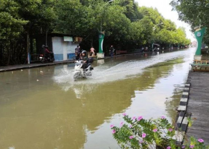 Gelombang Laut Tinggi, BPBD Bontang Ingatkan Potensi Banjir Rob
