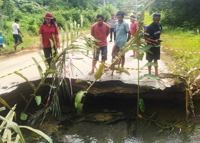 Longsor di Gosi Siluq Ngurai, Jalan Nasional Ditutup Total, Arus Lalin Dialihkan