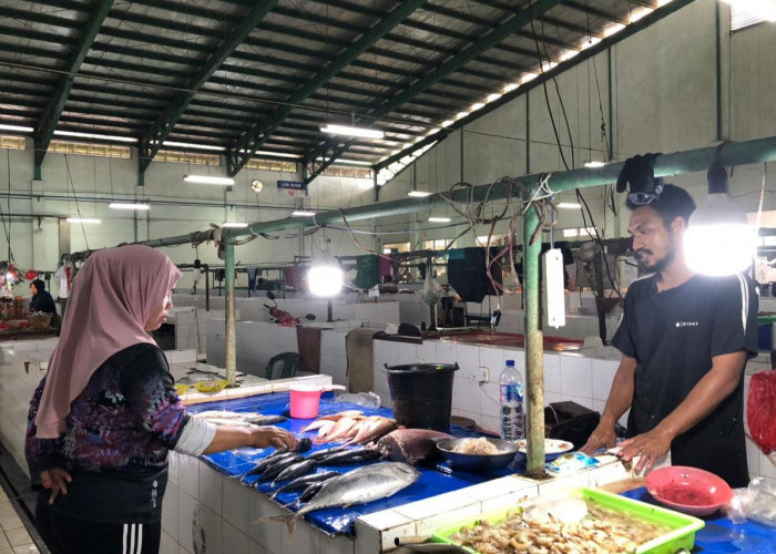 Libur Lebaran Iduladha 1447 Hijriah, Penjualan Ikan di Tenggarong Anjlok 70 Persen