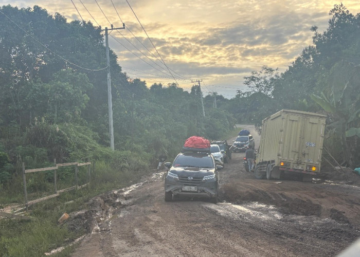 Jalan Nasional Kukar-Kubar Makin Parah, Rudy Minta Pemerintah Pusat Bertindak 