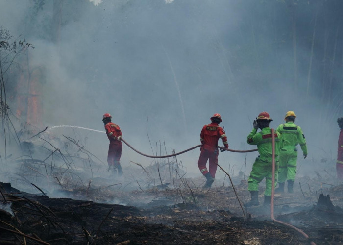 PT Berau Coal Konsisten Tangani Karhutla, Lakukan Pemantauan hingga Pemadaman Langsung