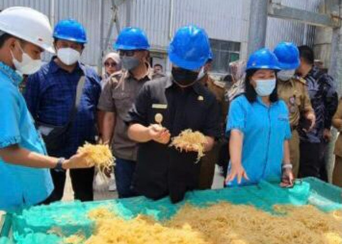 Arfan Yakin Pabrik Pengolahan Rumput Laut di Muara Badak Akan Berdampak Positif bagi Petani 