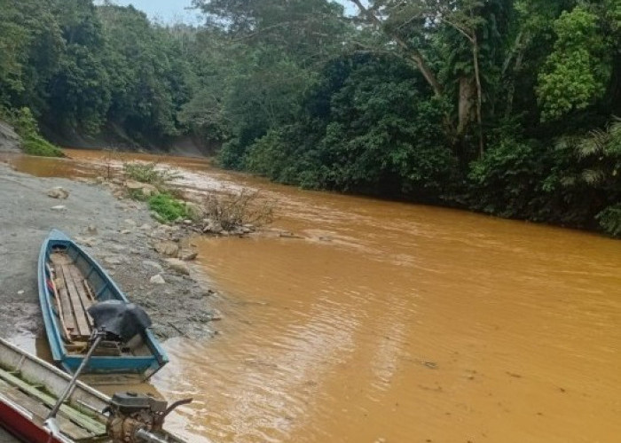 Tambang Emas Ilegal Diduga Beroperasi di Hulu Sungai Benturung dan Prayan