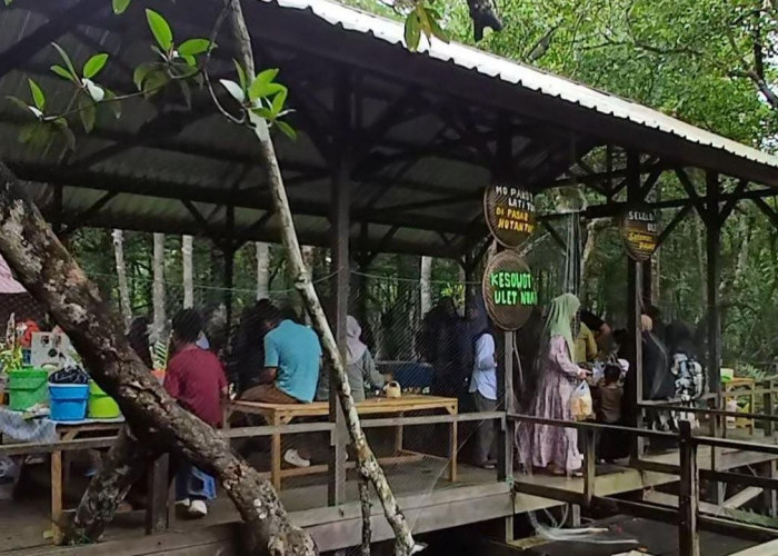 Pasar Pakot Lati Tuo: Sensasi Belanja Tradisional di Tengah Eksotis Mangrove Paser