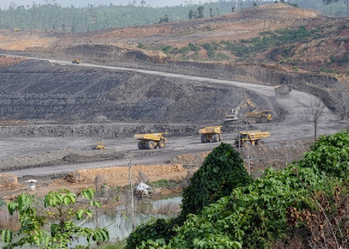 DPRD Kaltim Soroti Pemangkasan RKAB Tambang 2026, Waspadai Dampak ke Daerah