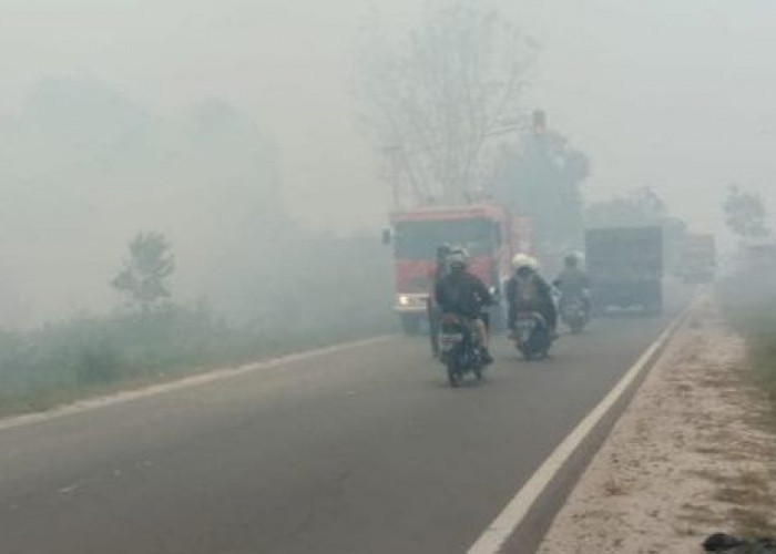 Kabut Asap Semakin Parah, Kasus ISPA di Mahulu Capai 653 Orang