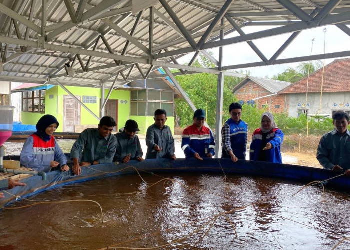 Panen Ikan saat Jeda Musim Tanam, Bioflok Jadi Solusi Petani PPU Hadapi Kemarau