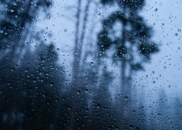 Ramalan Cuaca Kaltim, 15 Mei 2025, Cek di Sini