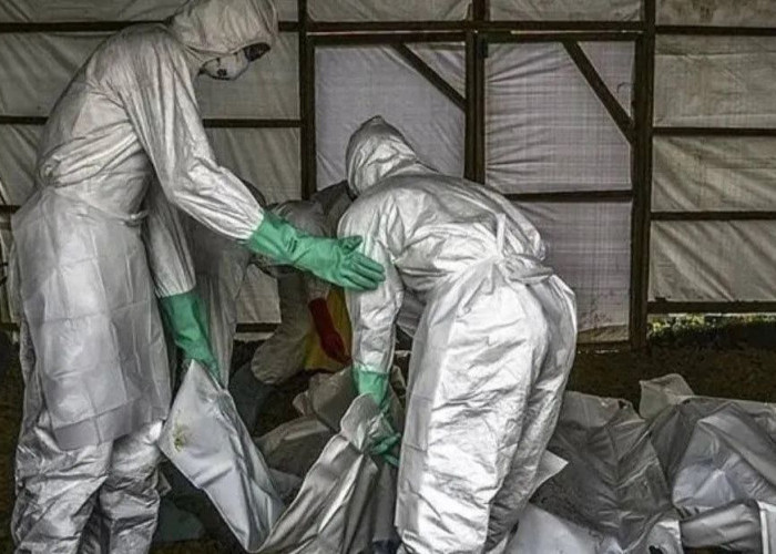 Kasus Ebola di Kongo Tembus 6.000, Sebanyak 3.000 Orang Meninggal Dunia 