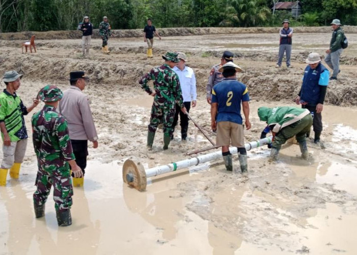 Dukung Ketahanan Pangan, Pemkab Mahulu Terus Optimalkan Percetakan Sawah