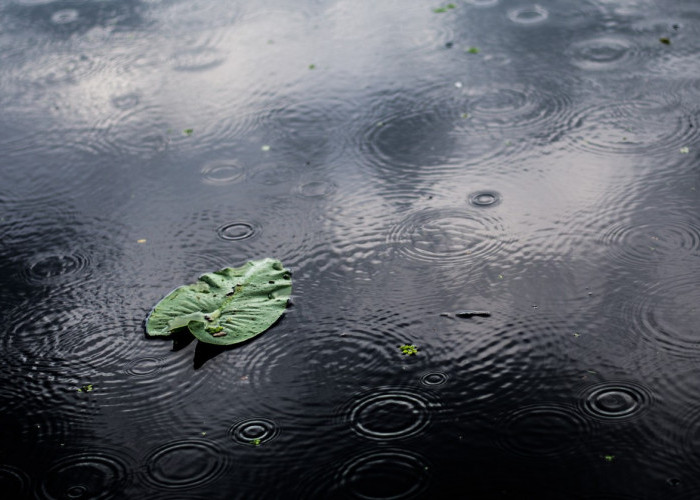 Ramalan Cuaca Kaltim dan IKN, 5 Maret 2026, Cek di Sini!