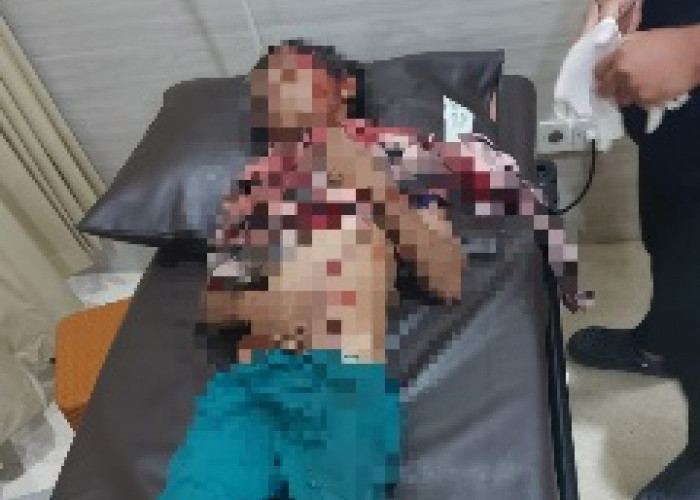  Kasus Serangan Meningkat, Pemkot Bontang Siapkan Langkah Penanganan Ancaman Buaya 