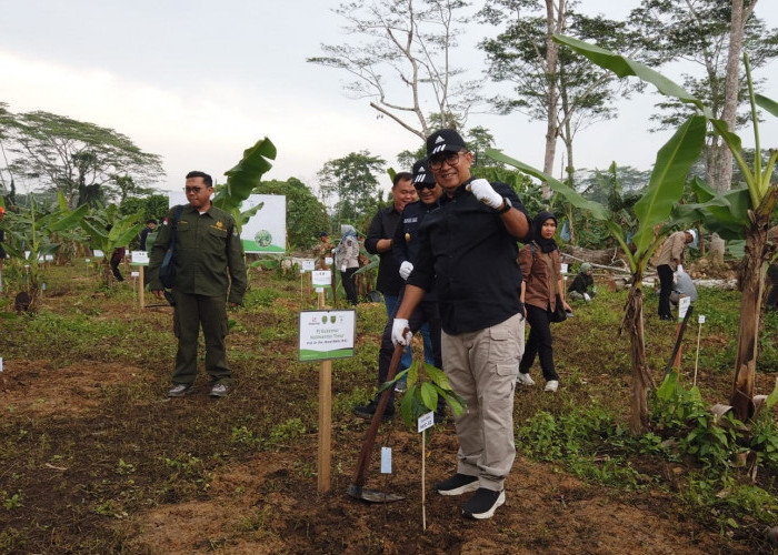 Perlu Kontribusi Semua Pihak Atasi Lahan Kritis Pasca Tambang dengan Menanam Pohon Endemik