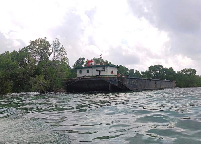 Tongkang Terdampar di Pulau Miang Belum Dievakuasi, Ekosistem Mangrove Ikut Terancam