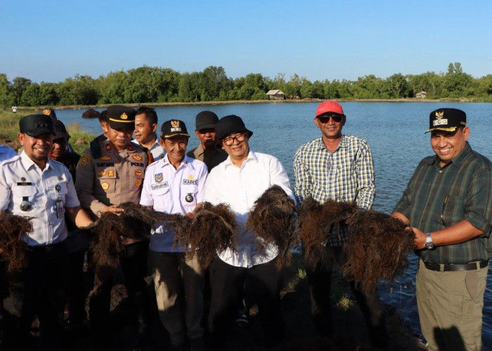 PPU dan Paser Punya Potensi Besar dalam Produksi Rumput Laut, Akmal Malik: Harus Kolaborasi