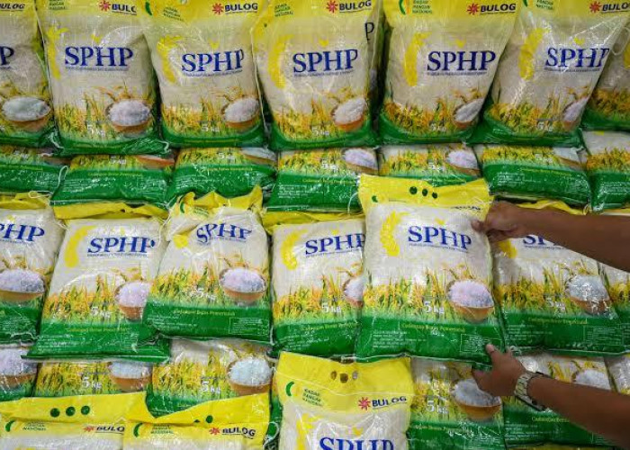 Stok Beras Nasional Capai 5,3 Juta Ton, BULOG Percepat Bantuan Pangan dan SPHP untuk Stabilkan Harga