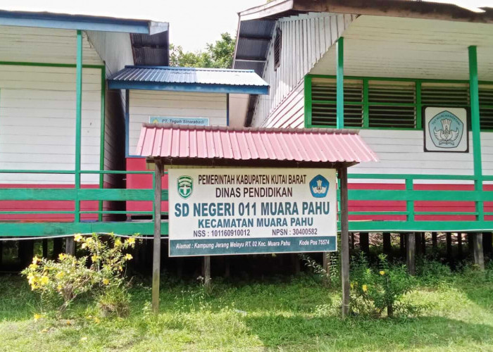 SDN 011 Muara Pahu Kekurangan Guru dan Fasilitas, Proses Belajar Mengajar Tidak Optimal