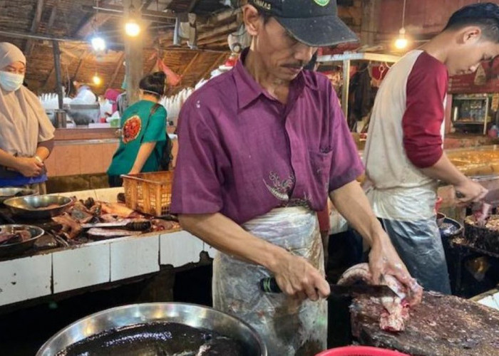 Konsusmi Ikan Gabus Baik untuk Ibu Setelah Melahirkan, Albumin Dukung Proses Pemulihan Tubuh