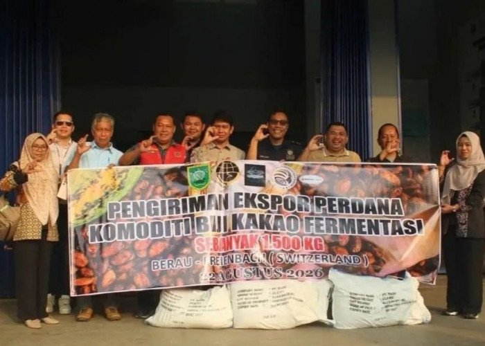 Ekspor 1,5 Ton Cacao Nibs ke Swiss, Berau Dorong Hilirisasi Kakao Premium
