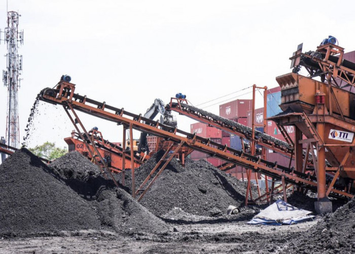 Pemangkasan Produksi Batu Bara dalam RKAB 2026 Berisiko Ganggu Perencanaan hingga Ekonomi Kaltim