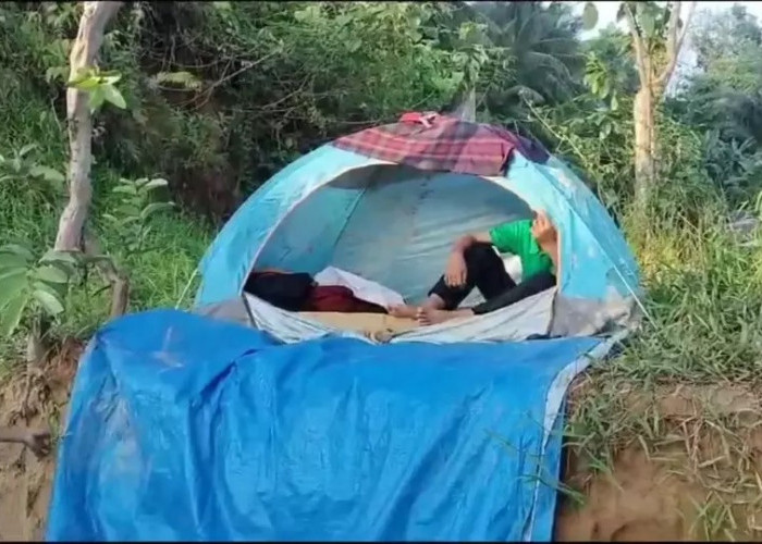 Terlantar usai Orangtua Bercerai, Bocah SD ini Tinggal Sendirian di Hutan 