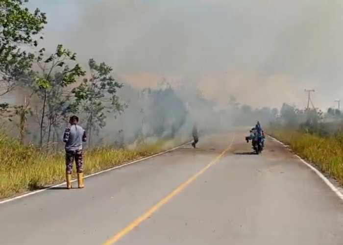 Karhutla Kembali Terjadi di Jalan Poros Menuju Derawan