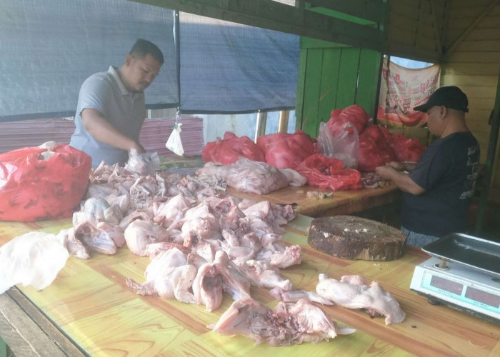 Harga Ayam di Pasar Barong Kutai Barat Tongkok Masih Stabil Jelang Idulfitri