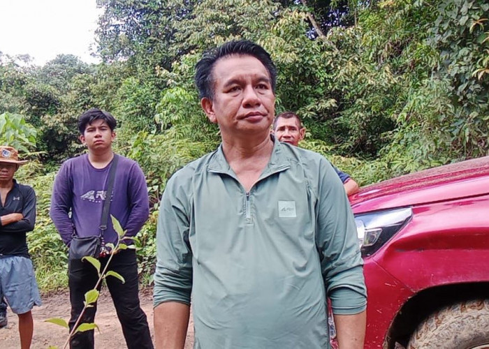 Pembalakan Liar Ulin Menggila, DPRD Kubar: Jangan Hanya Sopir yang Ditangkap