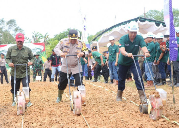 Astra Agro Lestari Dukung Swasembada Pangan Melalui Penanaman Jagung Serentak di Kaltim