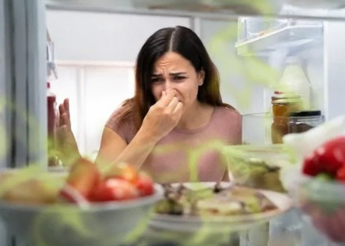 7 Cara Menghilangkan Bau Tak Sedap di Kulkas dengan Bahan Sederhana
