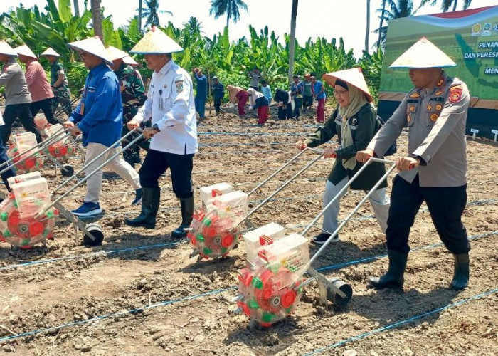 Polda Kaltim Cari Bibit Unggul, Hadapi Tantangan Geografis yang Belum Cocok untuk Jagung