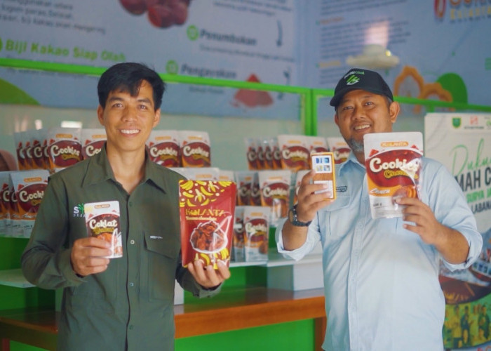 Rumah Cokelat Kulanta Menjadi Simbol Keberhasilan Pengembangan Kakao Lokal