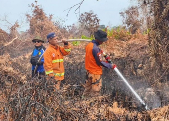 Karhutla di Penajam Paser Utara: 188 Kejadian, 454 Hektare Lahan Hangus Terbakar