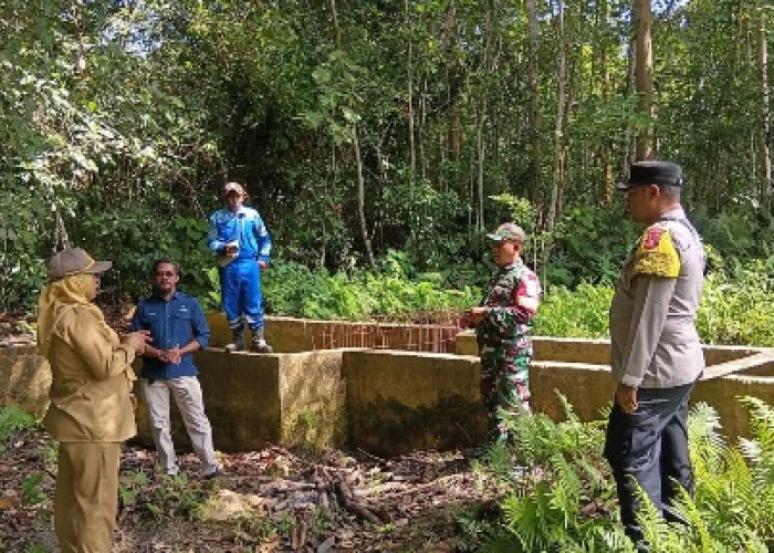 Tiga Sumber Mata Air di Kutim Hilang, Diduga Dampak Perambahan Hutan 