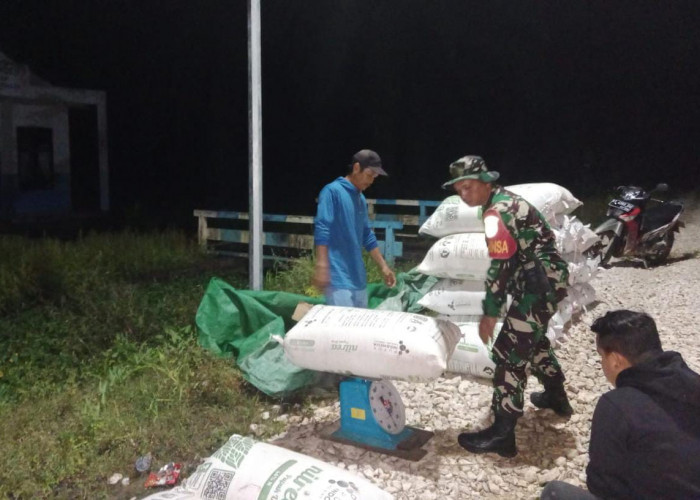 Perumda PJT Tak Lagi Serap Gabah Petani Lokal usai Standarisasi Harga Berlaku