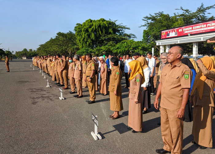 Penerimaan CPNS Resmi Dibuka, 304 Formasi Tersedia di Kabupaten Berau